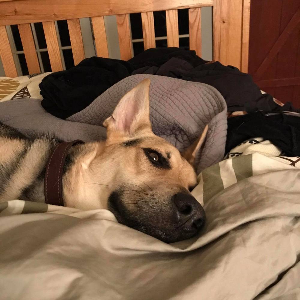 Meet your Posher, Stacey